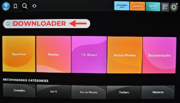 recherchez Downloader sur fire tv stick